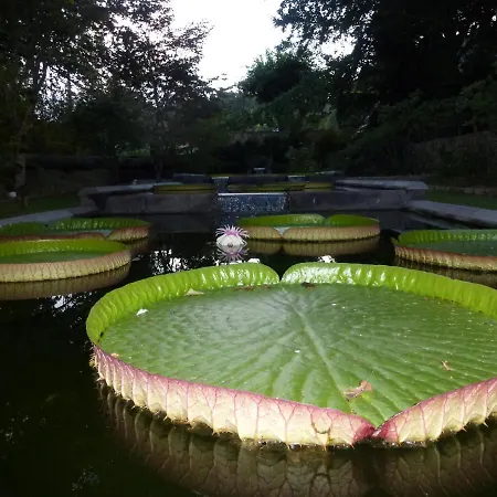 Prázdninový dům Casa Da Tia Luisa *