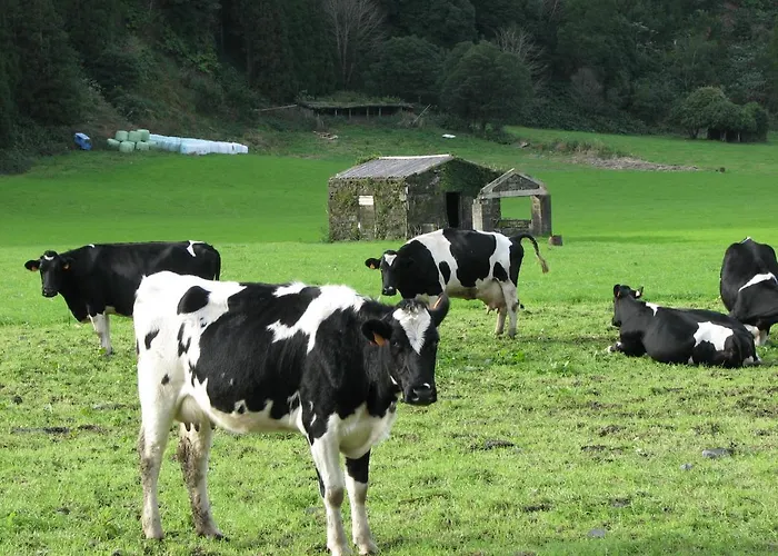 Σπίτι διακοπών Casa Da Tia Luisa *