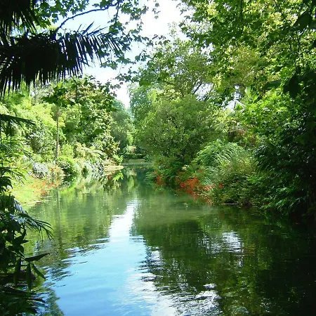 Casa Da Tia Luisa Furnas (Azores)