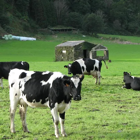 Tatil Evi Casa Da Tia Luisa *