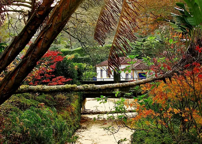 Casa Da Tia Luisa Holiday home *