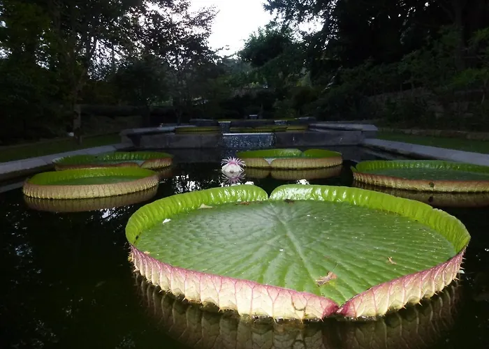 Ferienhaus Casa Da Tia Luisa *